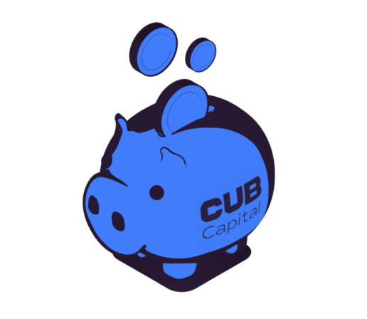 pig-cub