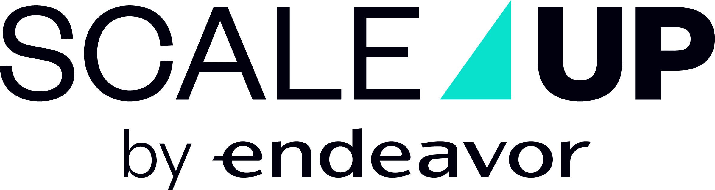 Scale Up - Endeavor